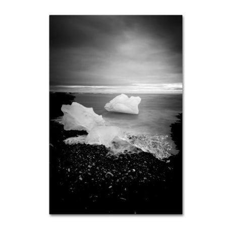 Philippe Sainte-Laudy 'White As Ice' Canvas Art,22x32